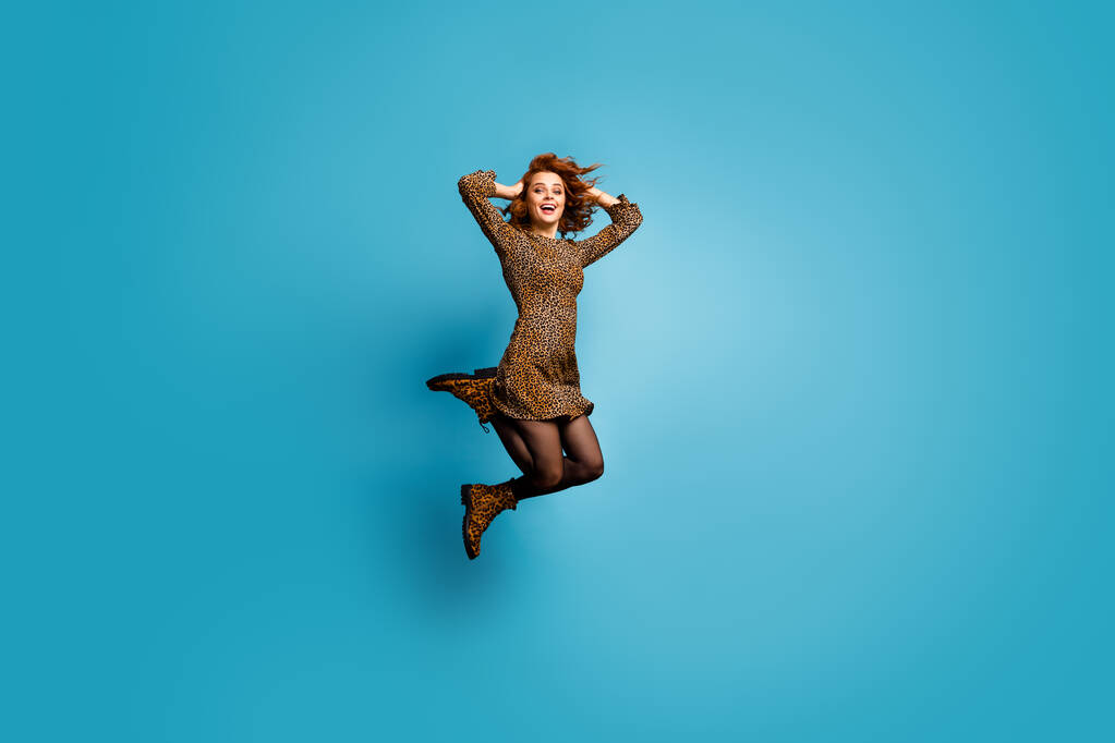 Plná velikost fotografie legrační dáma skok vysoko na ruce na hlavě držení účes let těšit teplé podzimní vítr nosit krátké leopard vzor šaty punčocháče boty izolované modré barvy pozadí - Fotografie, Obrázek