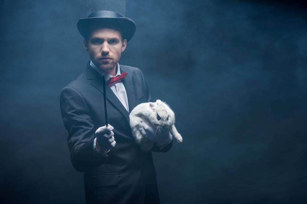 magicien professionnel en costume montrant tour avec baguette et lapin blanc, chambre sombre avec fumée
 - Photo, image