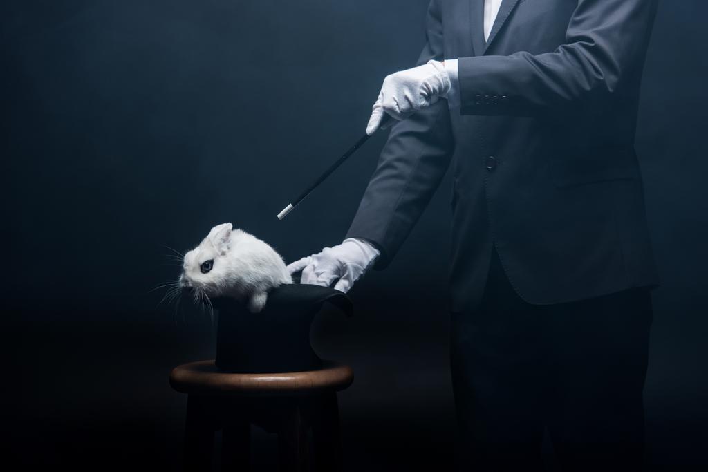 περικοπή άποψη του ταχυδακτυλουργού δείχνει τέχνασμα με ραβδί και λευκό κουνέλι στο καπέλο, σε σκοτεινό δωμάτιο με καπνό - Φωτογραφία, εικόνα