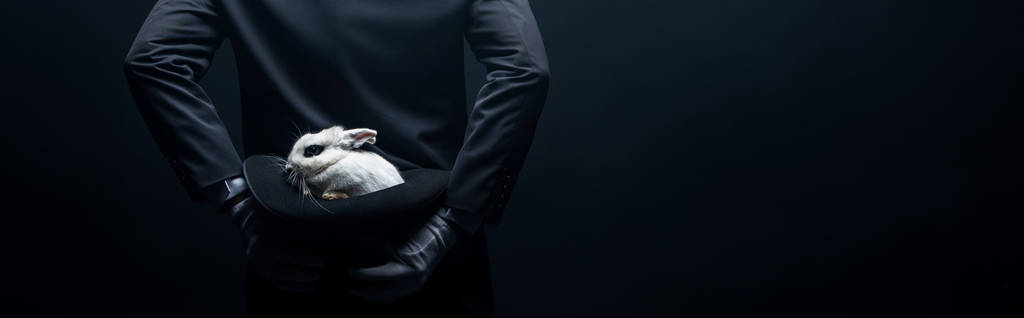 visão traseira do mágico segurando chapéu com coelho branco, isolado em preto, tiro panorâmico
 - Foto, Imagem
