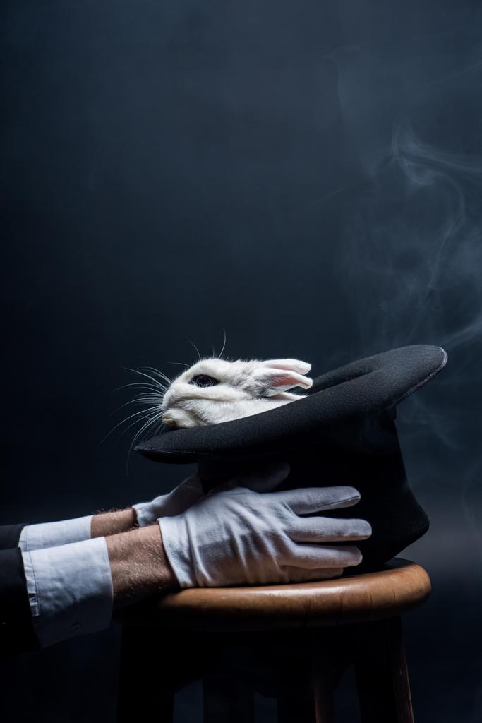 részleges kilátás varázsló fehér kesztyűben tartja kalap nyúl, sötét szobában füst - Fotó, kép