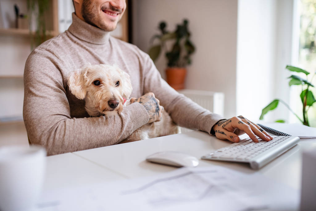 Мидсекция бизнесмена с собакой сидит за столом в помещении офиса
. - Фото, изображение