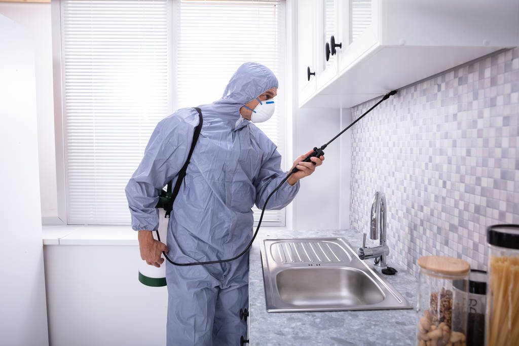 Erkek Haşere Kontrol İşçisi Mutfağa böcek ilacı sıkıyor - Fotoğraf, Görsel