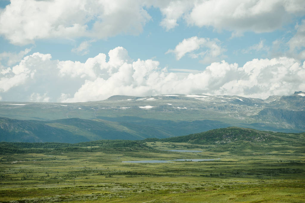 Landschappelijk natuurbeeld van Noorwegen in de zomer - Foto, afbeelding