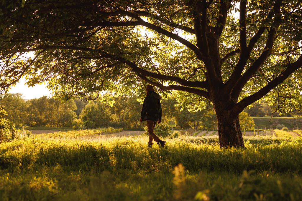 Активний мандрівник чоловічої статі, що йде в зеленому лісі в сонячний день
 - Фото, зображення