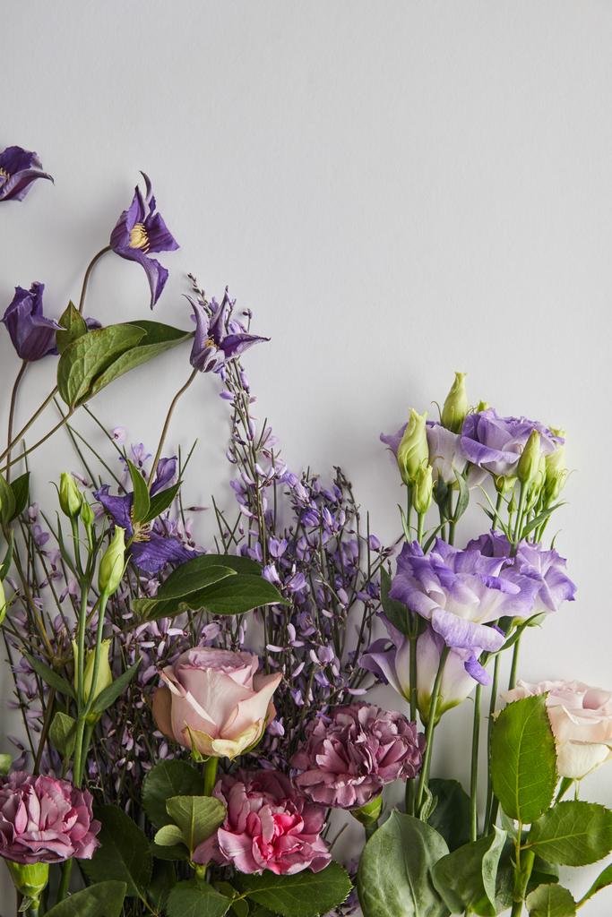 vista superior de las flores violeta y púrpura sobre fondo blanco
 - Foto, Imagen