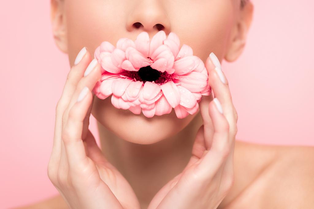 bijgesneden weergave van meisje met roze bloem in de mond, geïsoleerd op roze - Foto, afbeelding