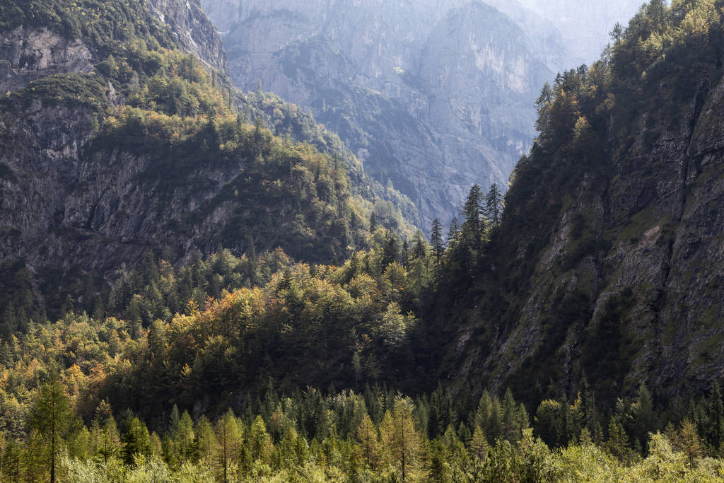 Tal in den Julischen Alpen - Foto, Bild