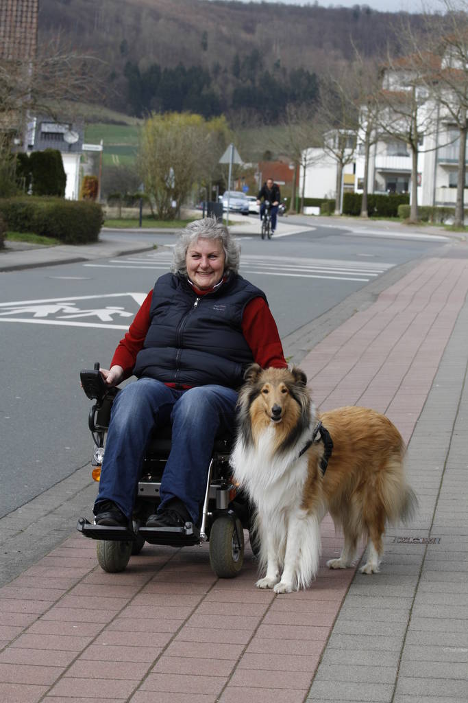 žena se psem na procházce v parku - Fotografie, Obrázek