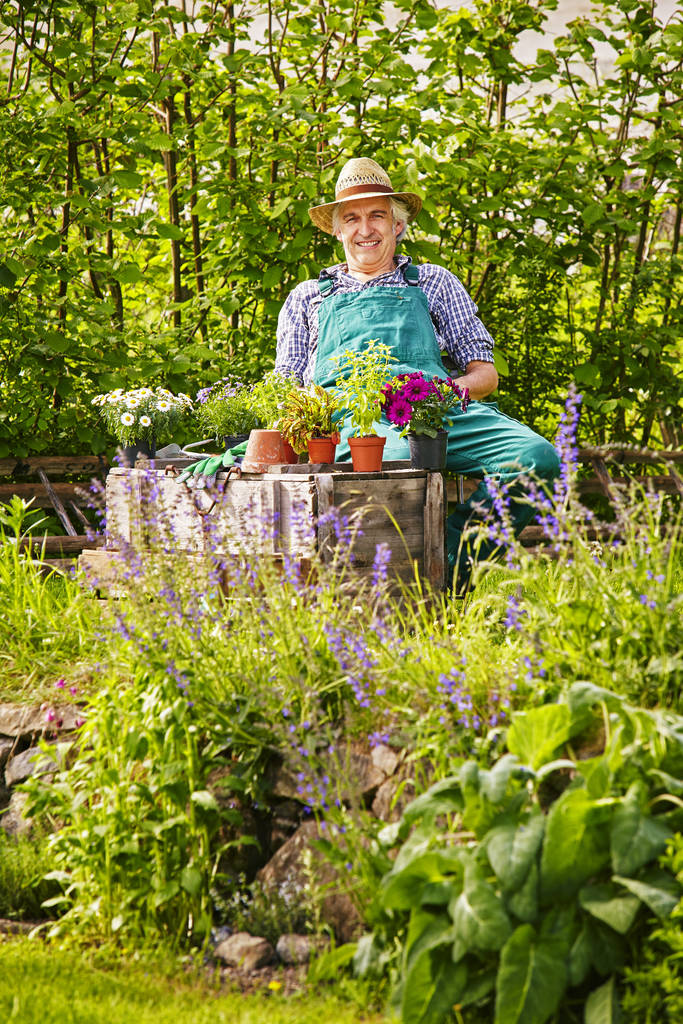 κήπος και κηπουρός με ψάθινο καπέλο και τα φυτά του - Φωτογραφία, εικόνα