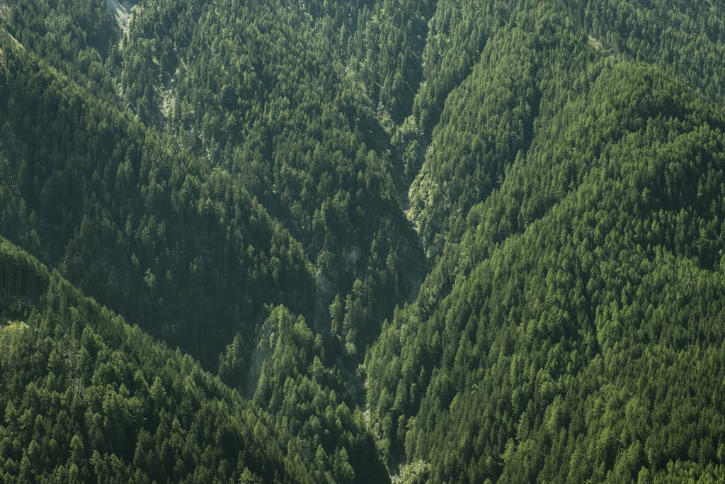 オーストリアアルプスの山側 - 写真・画像