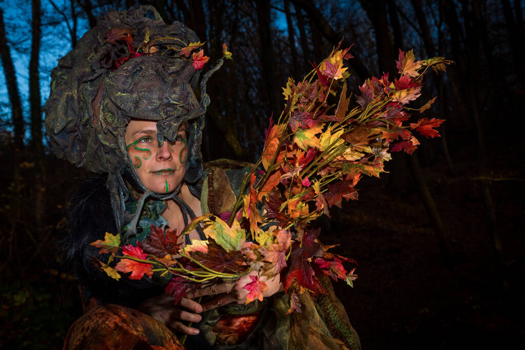 mujer como waldfee revestido en el bosque
 - Foto, imagen
