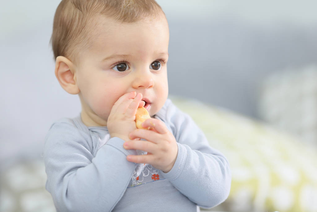 Portrait de bébé garçon mignon mangeant biscuit enfant
 - Photo, image