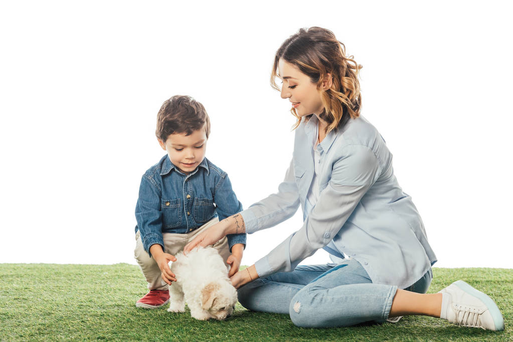 sorridente madre e figlio accarezzando cucciolo avanese isolato su bianco
 - Foto, immagini