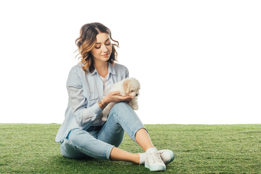 woman sitting on grass and looking at Havanese puppy isolated on white - Photo, Image