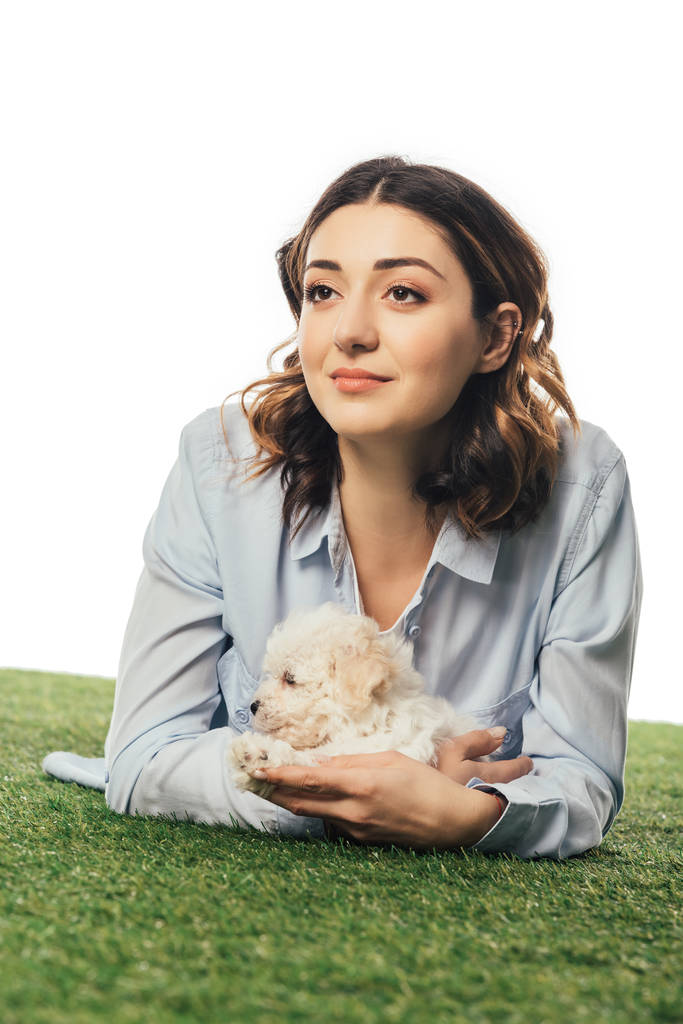 donna sorridente con cucciolo avanese sdraiato su erba isolata su bianco
 - Foto, immagini