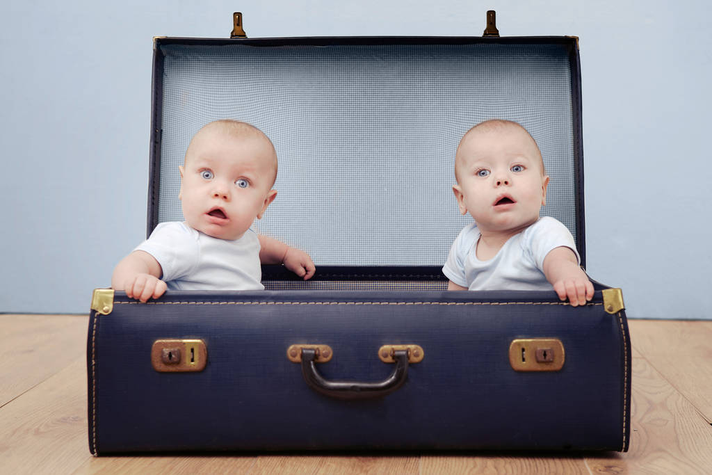 Two baby boys sitting in suitcase, portrait - Photo, Image