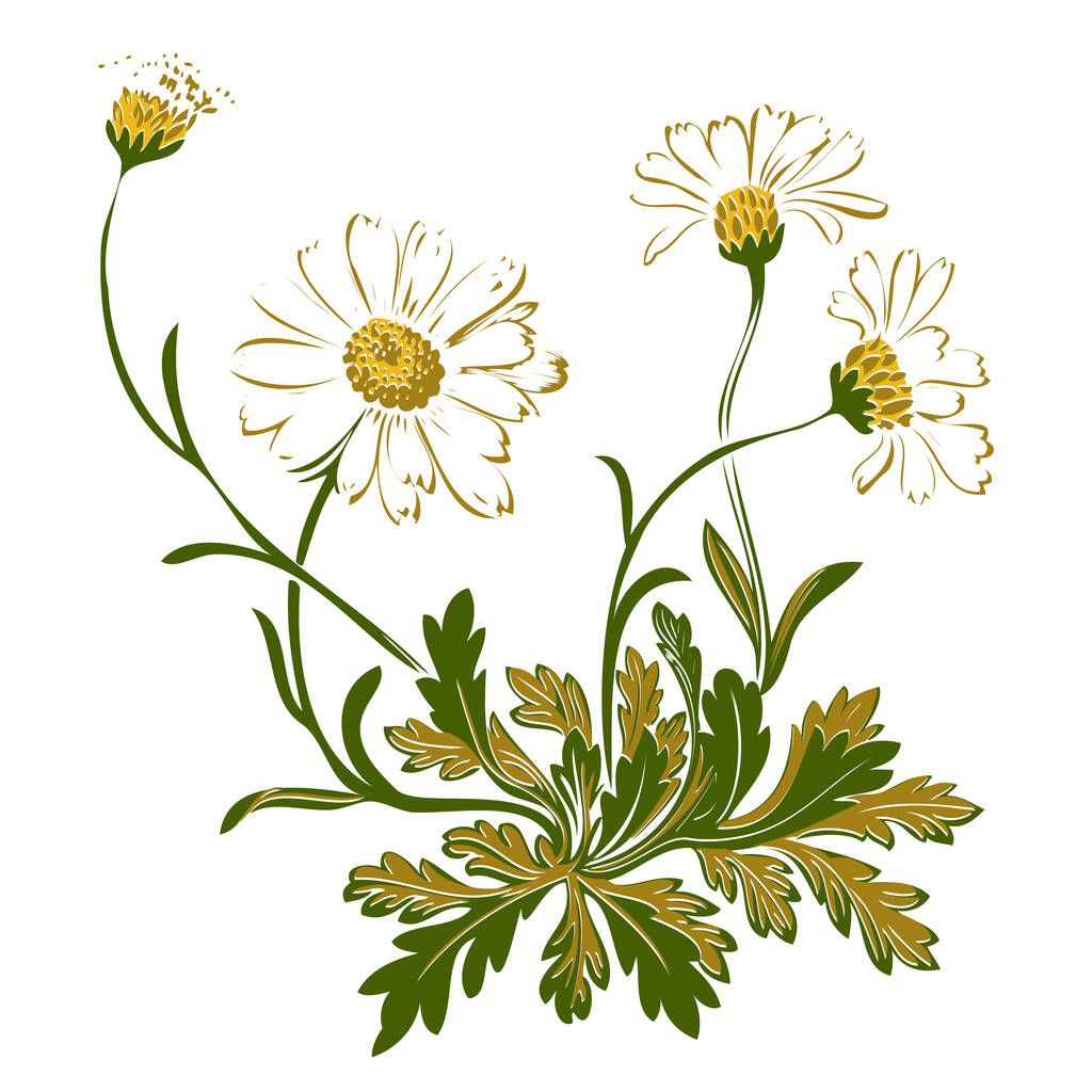 Ilustração desenhada à mão de galho com flores e folhas vetor barroco. Flores de milho. Ornamento vegetal colorido vertical sobre fundo preto
 - Foto, Imagem