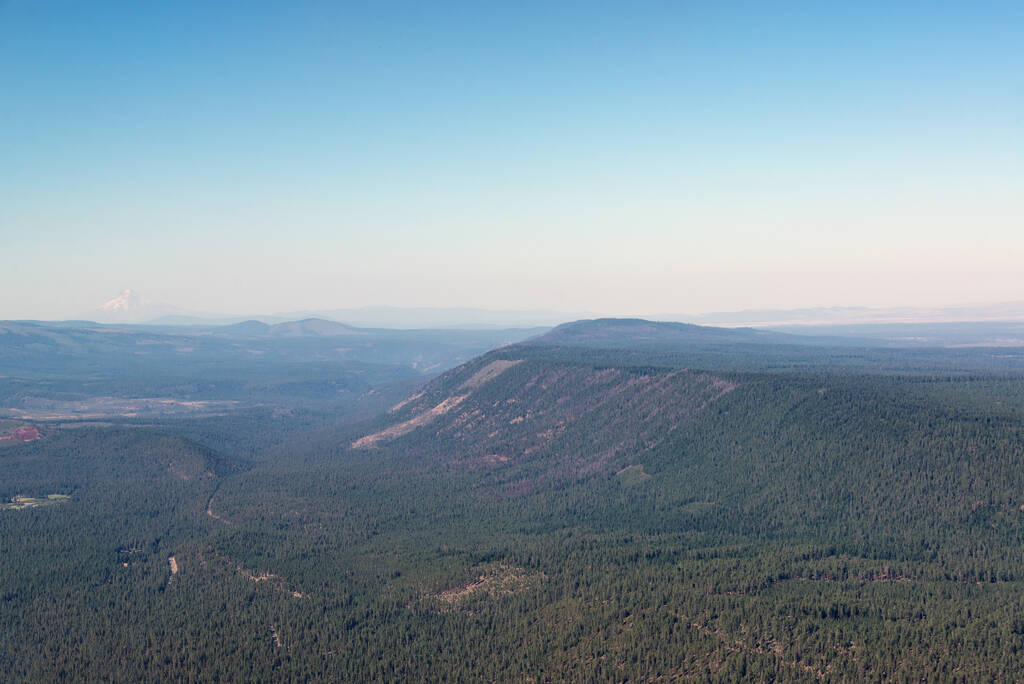 Плотно заросший лесом ландшафт в Центральном Орегоне, как видно из Black Butte
 - Фото, изображение