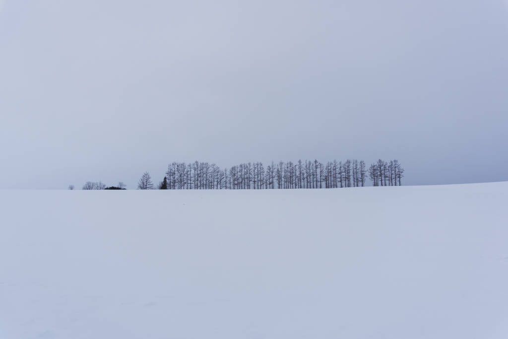 Winterlandschaft mit Tanne am Tag - Foto, Bild