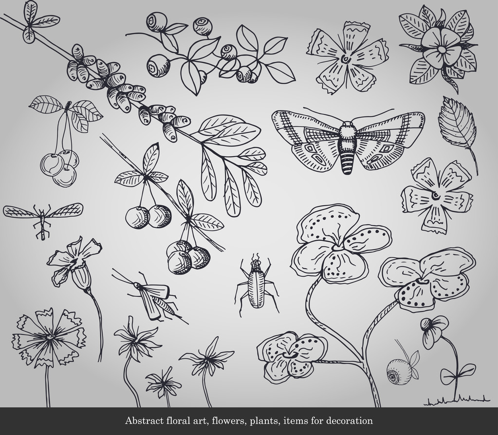 Abstrakti kukka taidetta, kukkia, kasveja, hyönteisiä kohteita koristeluun harmaalla pohjalla
 - Vektori, kuva