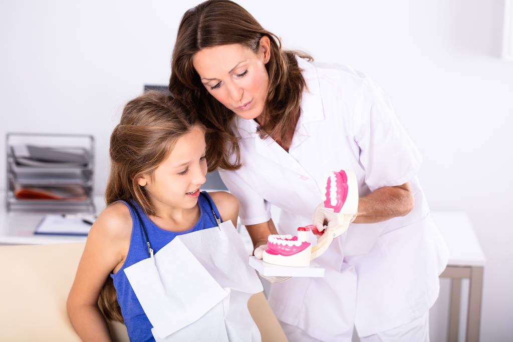 歯ブラシと歯の模型をクリーニング女性歯科医を見て女の子 - 写真・画像