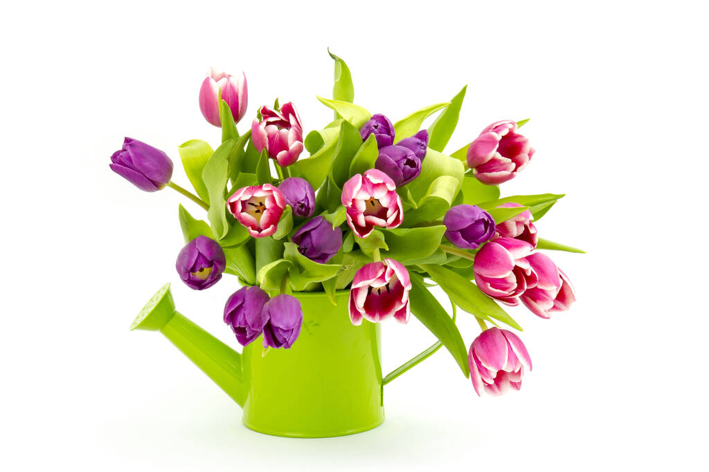 színes tulipánok öntözőkannában - Fotó, kép