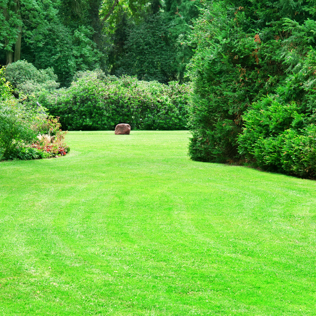 summer park with beautiful green lawns - Photo, Image