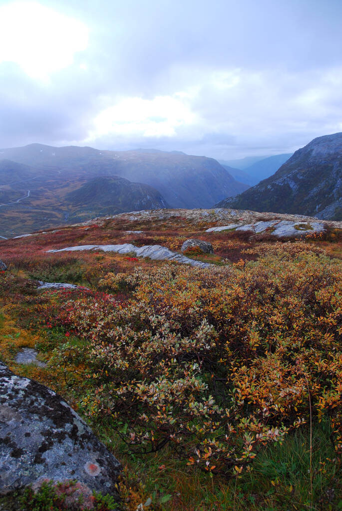 Норвегия на фоне природы - Фото, изображение
