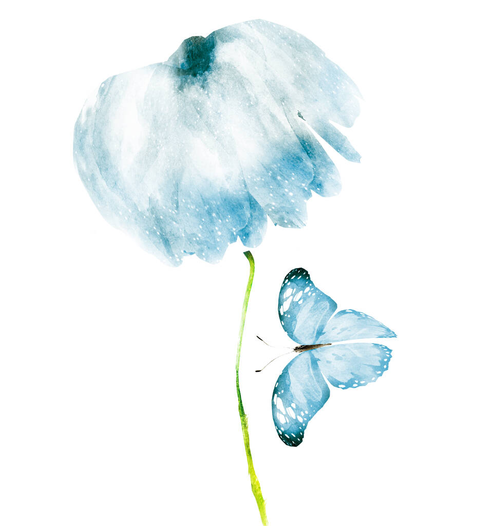 Akvarell virág pillangó, elszigetelt fehér háttér - Fotó, kép