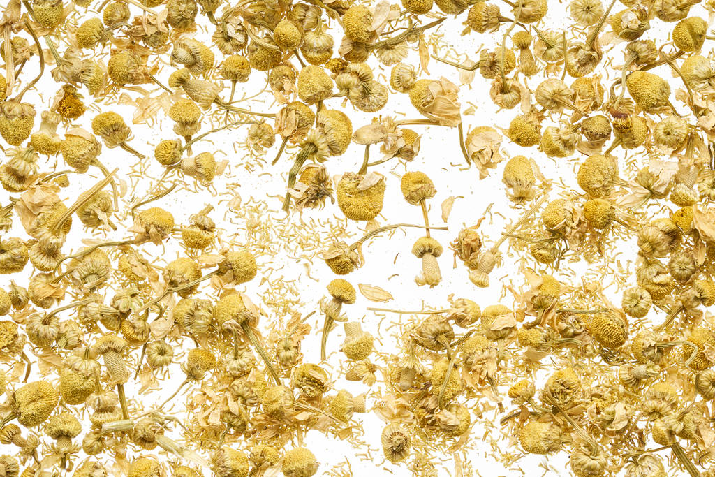 Fleurs sèches d'une camomille pharmaceutique sont dispersées sur un fond blanc
 - Photo, image