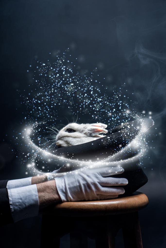 Beyaz eldivenli, şapkalı, tavşanlı, dumanlı ve parlak resimli sihirbazın kısmi görüntüsü - Fotoğraf, Görsel