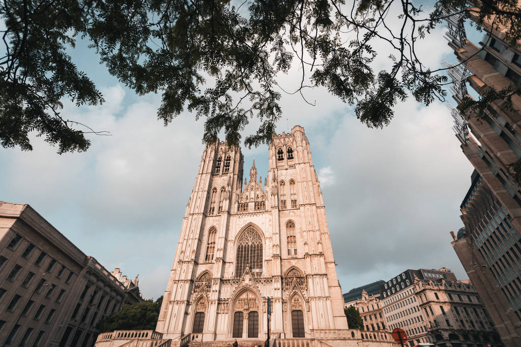 Bruselská katedrála v Bruselu, Belgie - Fotografie, Obrázek
