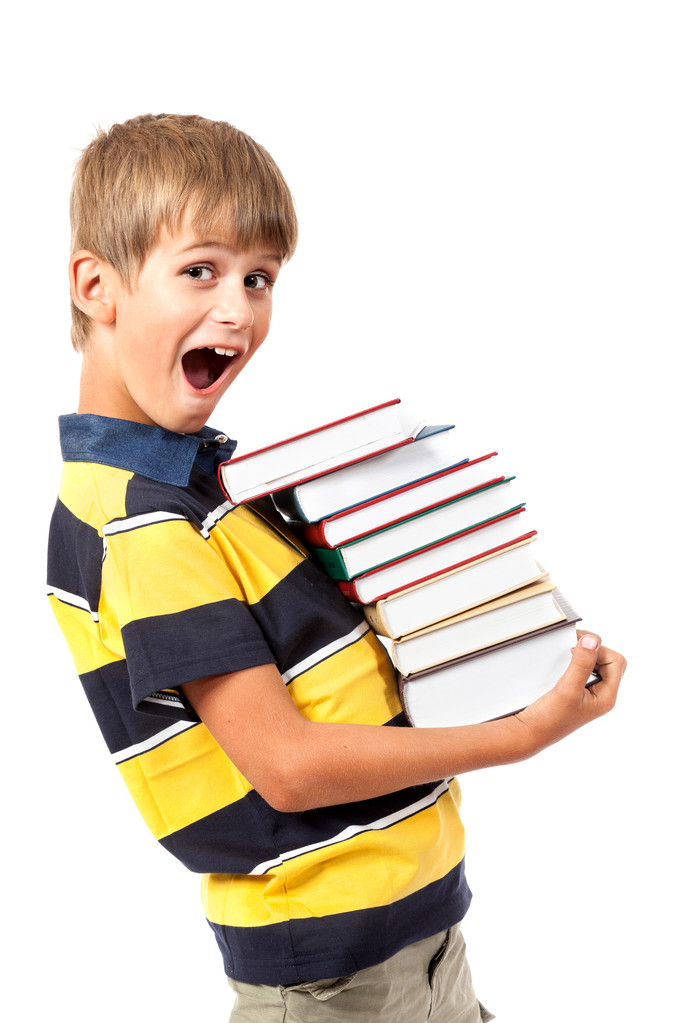 School boy is holding books - Photo, Image