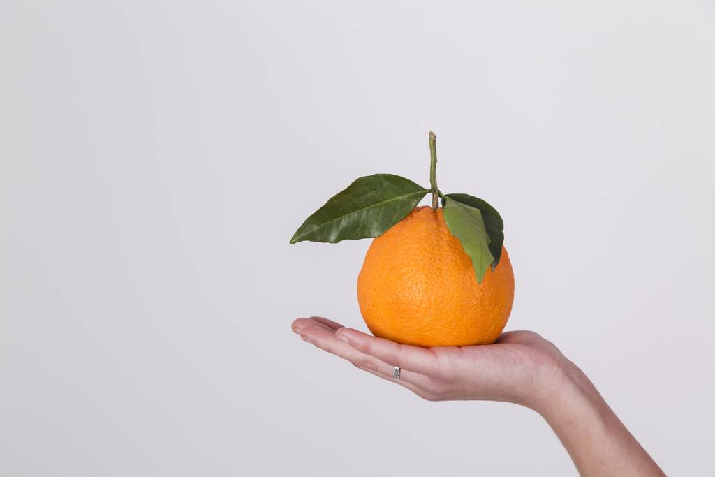 Свіжі органічні апельсинові фрукти на долоні жінки ізольовані на білому тлі
 - Фото, зображення