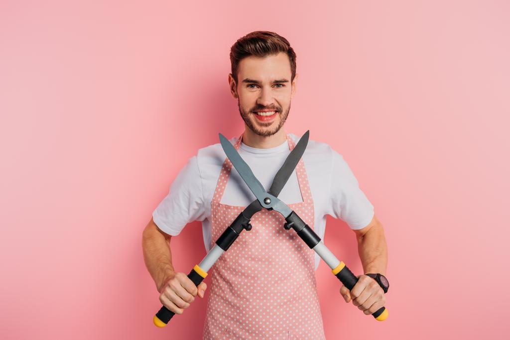 veselý mladý muž v zástěře držení zahradnické nůžky na růžovém pozadí - Fotografie, Obrázek