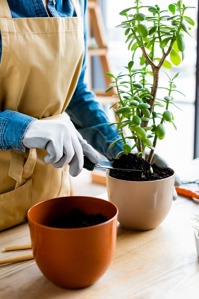 bijgesneden zicht op tuinier in handschoenen houden kleine schop met de grond tijdens het transplanteren plant  - Foto, afbeelding
