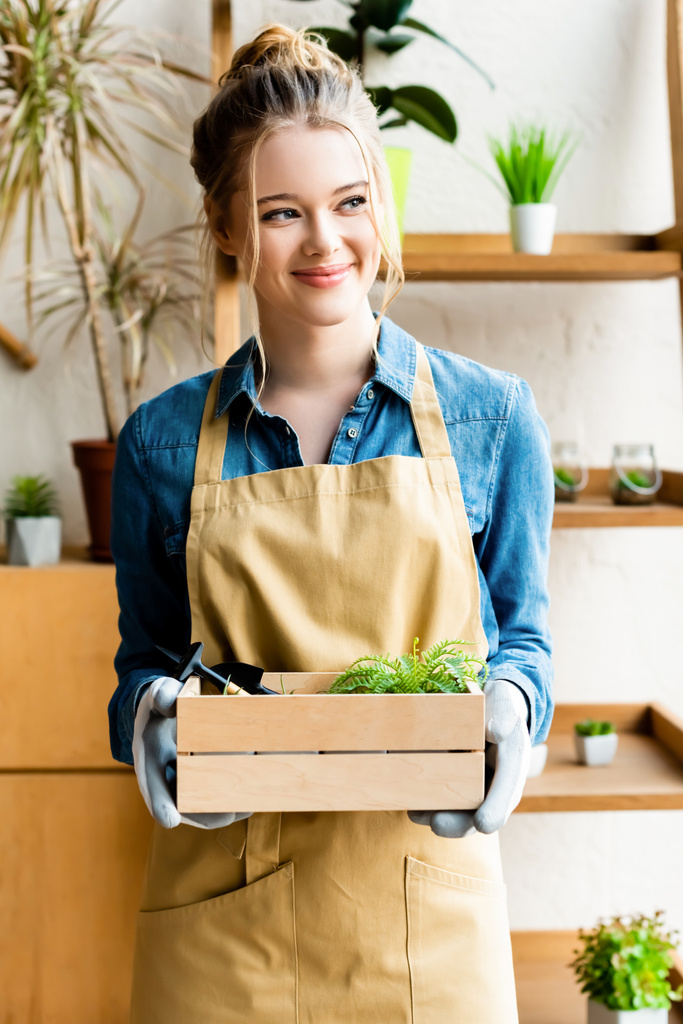 cheerful woman in gloves holding wooden box with green plants  - Fotoğraf, Görsel