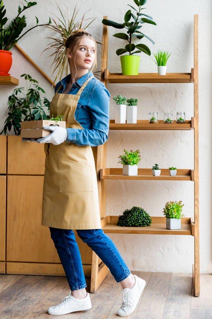atraktivní žena v rukavicích drží dřevěnou krabici se zelenými rostlinami a dívá se jinam  - Fotografie, Obrázek