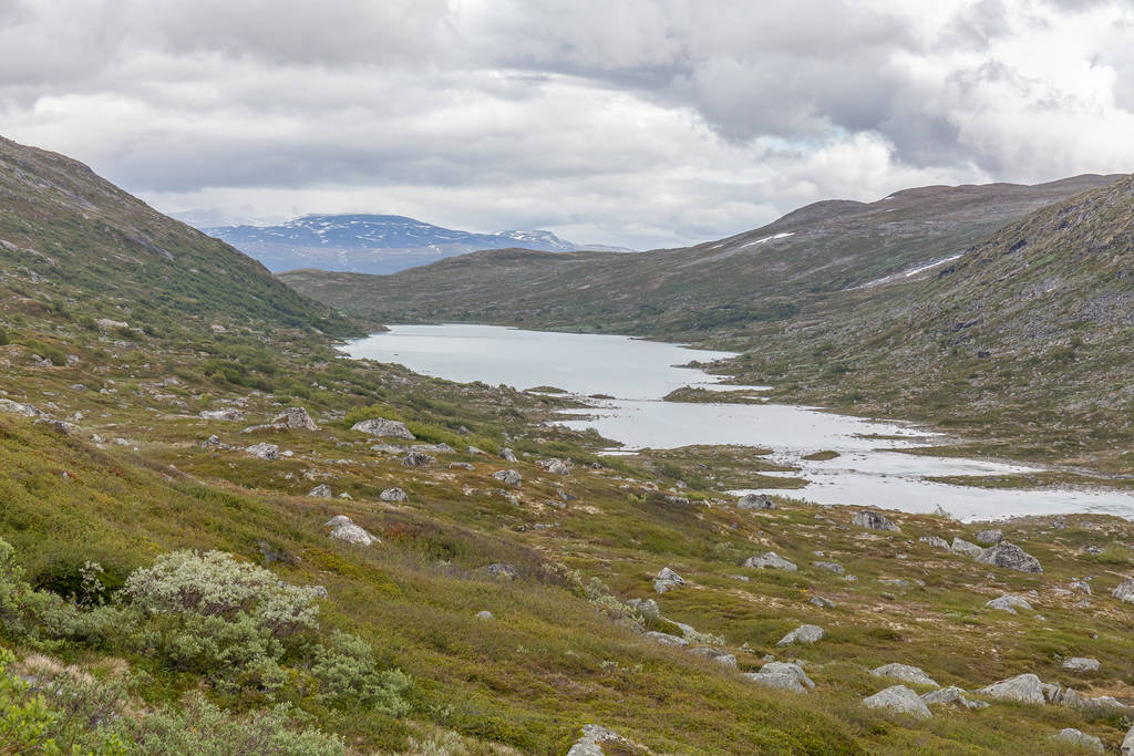 Paysage d'été norvégien, vue magnifique sur les montagnes enneigées avec air frais et propre en été, mise au point sélective
. - Photo, image