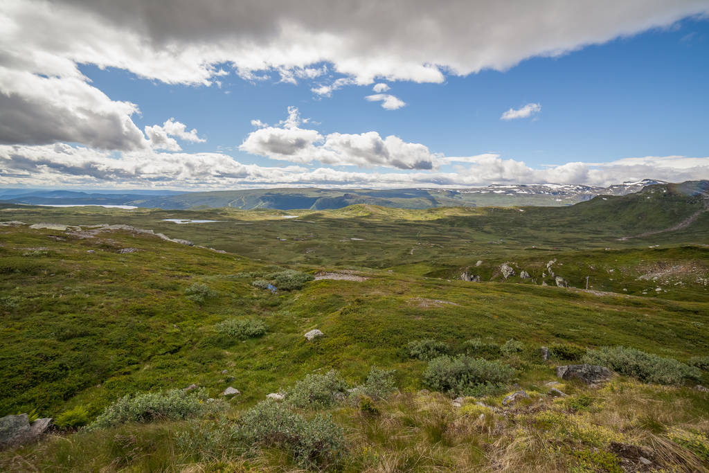 Campos de grama verde na Noruega campo perto de montanhas. Nublado dia de verão nebuloso, paisagem panorâmica rural norwegian. foco seletivo
 - Foto, Imagem