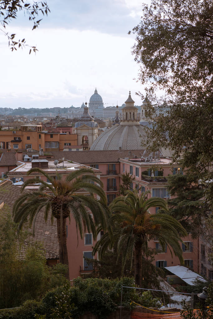 uitzicht op de Sint Pieter Basiliek en gebouwen in Rome, Italië - Foto, afbeelding