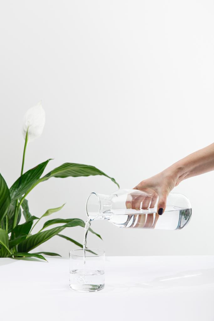 oříznutý pohled na ženu nalévání vody z láhve ve skle v blízkosti zeleného míru lilie rostlina na bílém povrchu - Fotografie, Obrázek