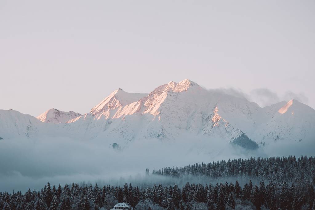 Hügellandschaft und Wälder im Schnee unter Sonnenlicht und wolkenverhangenem Himmel - Foto, Bild