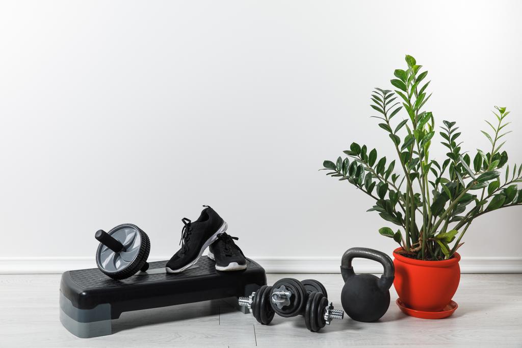 Spor aletleri ve spor ayakkabıları ev bitkisiyle evde - Fotoğraf, Görsel