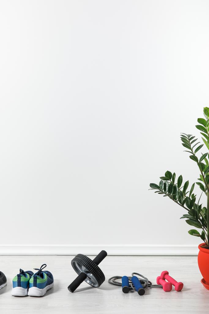dumbbells, abdominal wheel and sneakers at home with houseplant - Photo, Image