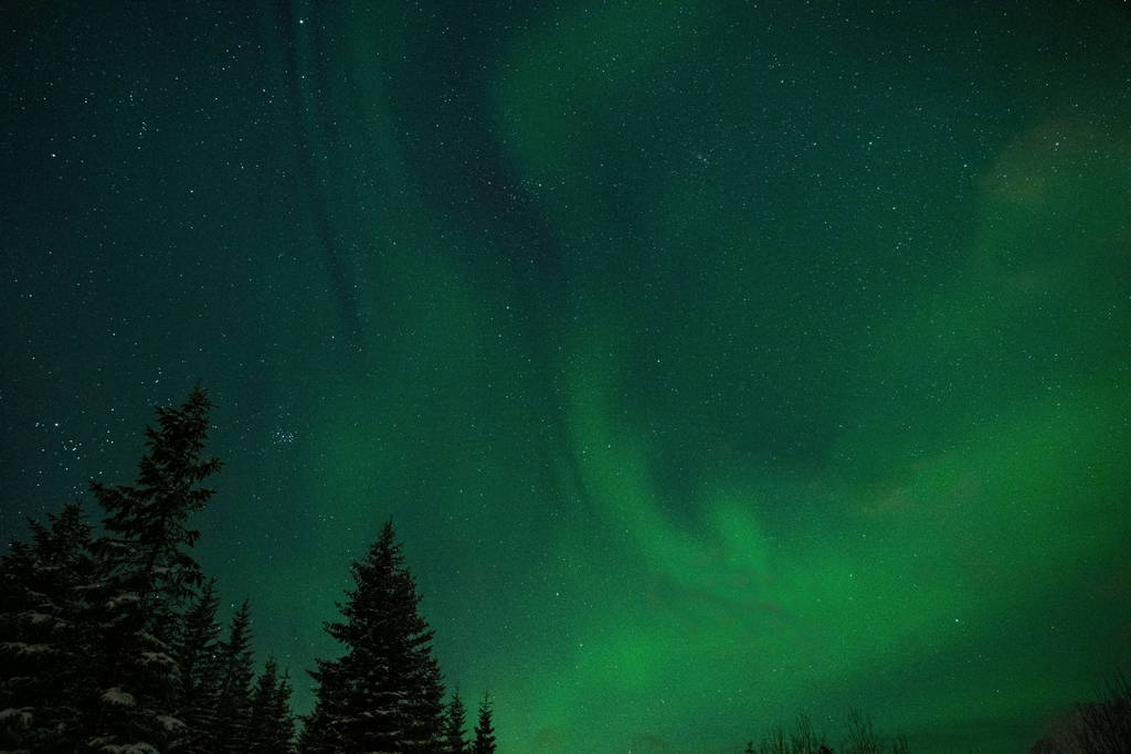 Ночная зимняя лесная фотография с северным легким небом
. - Фото, изображение