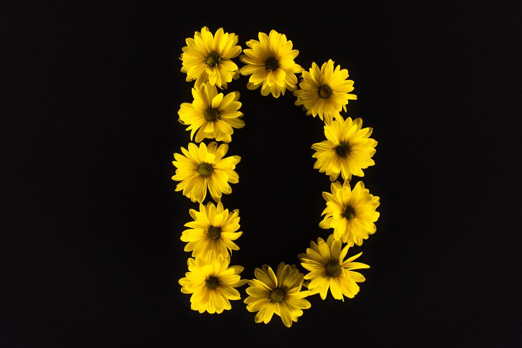 bovenaanzicht van gele madeliefjes gerangschikt in letter D op zwart - Foto, afbeelding