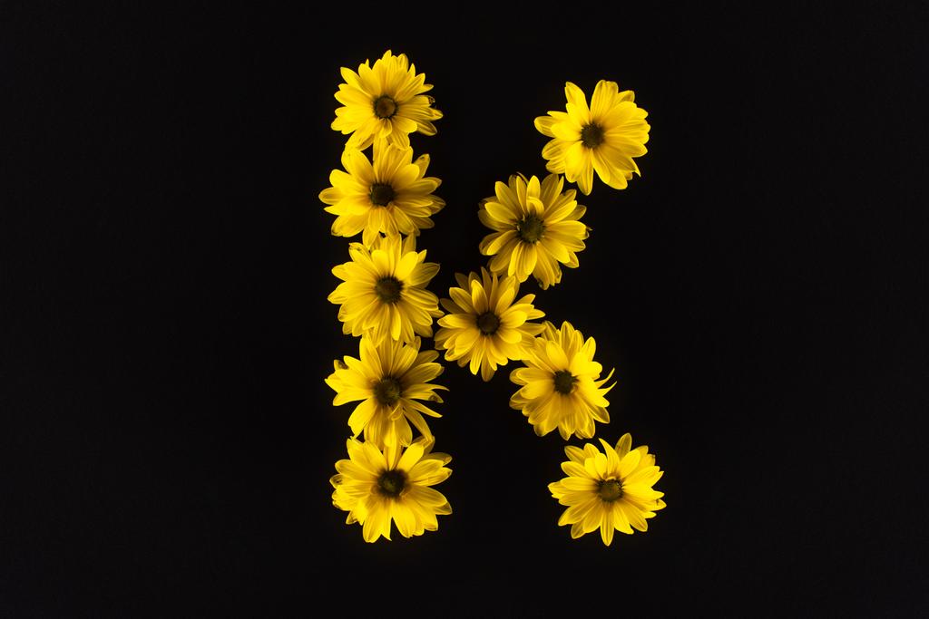 Ansicht von gelben Gänseblümchen in Buchstabe K isoliert auf schwarz - Foto, Bild