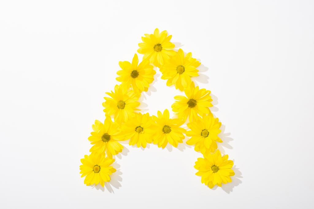top view of yellow daisies arranged in letter A on white background - Photo, Image